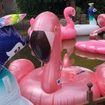 Credit Summer Event 2019 - Veghel - Bierens Incasso Advocaten