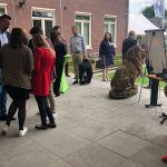 Credit Summer Event 2019 - Veghel - Bierens Incasso Advocaten